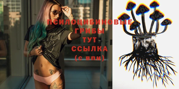 a pvp Верея
